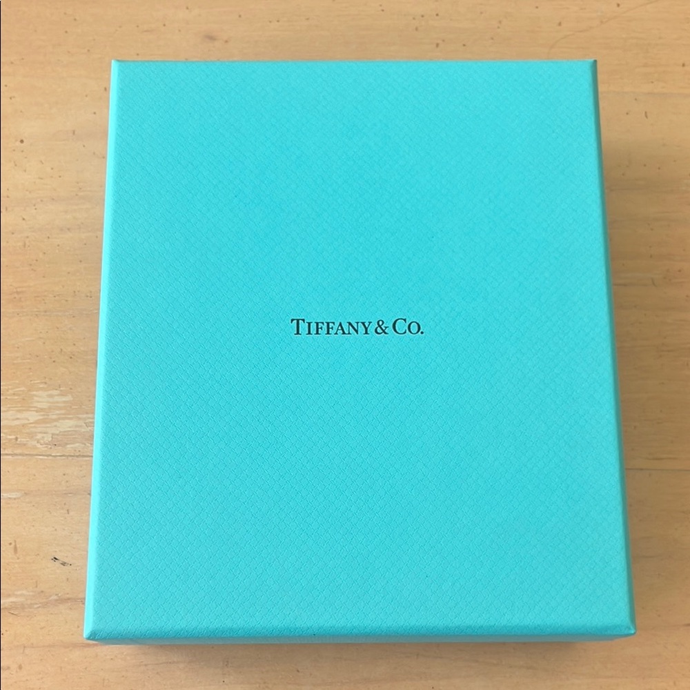 Tiffany & Co. Turquoise Gift Box